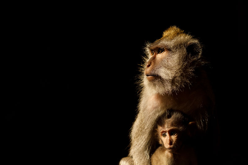 Keith Gordon Landscape Photography